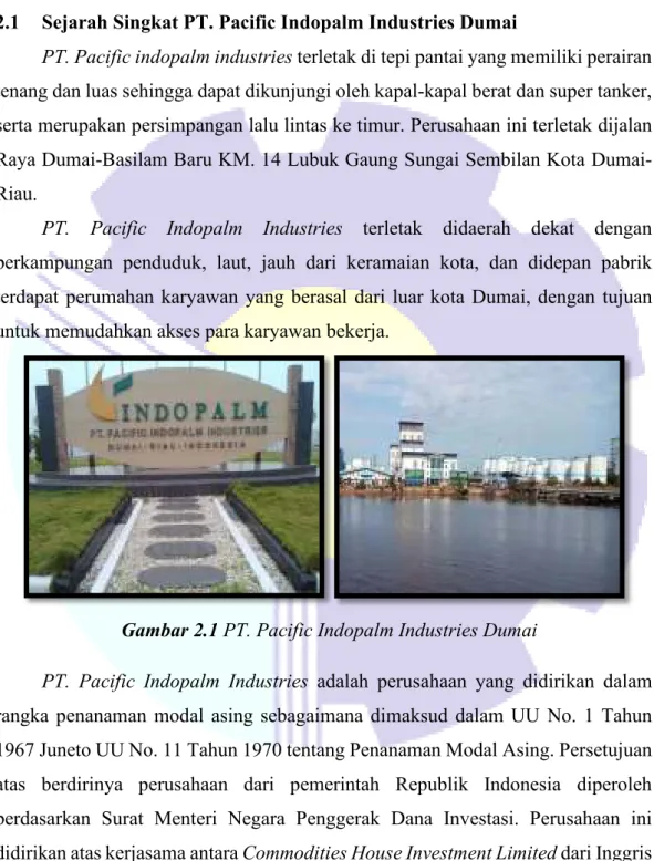 Gambar 2.1  PT. Pacific Indopalm Industries Dumai