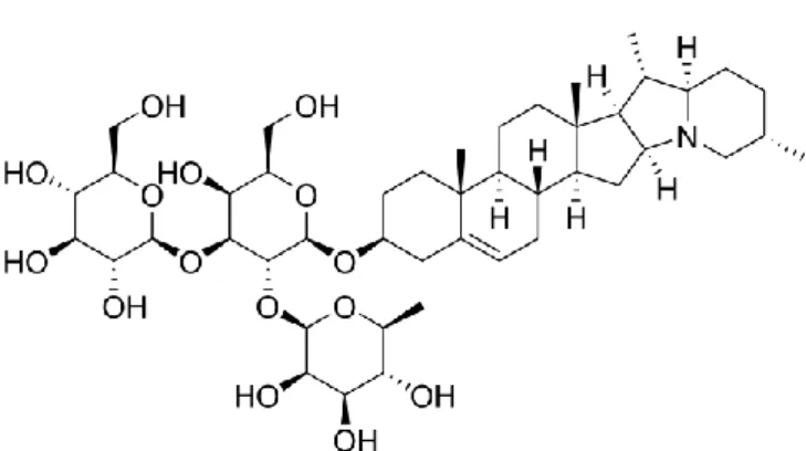 Gambar 2.1.3.3 : struktur kimia alkaloid