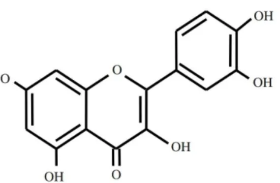 Gambar 2.1.3.4 : struktur kimia flavonoid