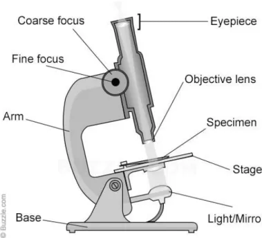 Gambar 1. Mikroskop Cahaya 