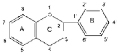 Gambar 2. Struktur Flavonoid 