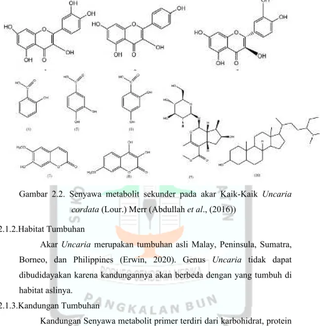 Gambar  2.2.  Senyawa  metabolit  sekunder  pada  akar  Kaik-Kaik  Uncaria  cordata (Lour.) Merr (Abdullah et al., (2016)) 