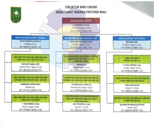 Gambar 2.2 Struktur Organisasi Biro Umum Sekretariat Provinsi Riau  Sumber: Biro Umum 
