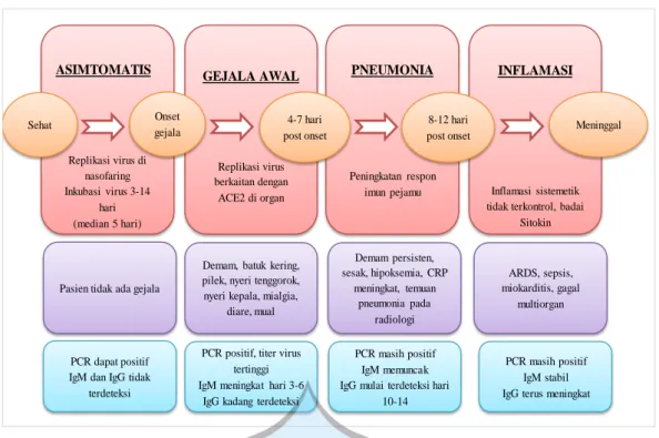 Gambar 2.1. Skema perjalanan penyakit COVID-19 