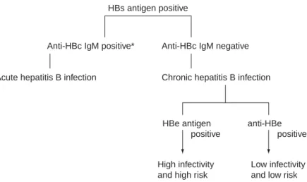 Fig. 7.4. Clinical interpretation of HBV markers in hepatitis B surface antigen positive patients.