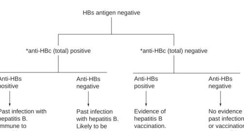 Fig. 7.5. Clinical interpretation of HBV markers in hepatitis B surface antigen negative patients.