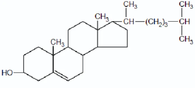 Gambar 1. Struktur kimia kolesterol (Zamora A, 2007) 