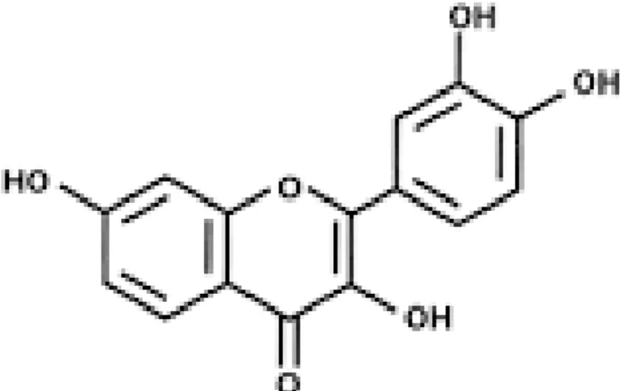 Gambar 7. Struktur flavonoid (Sabir, 2003) 