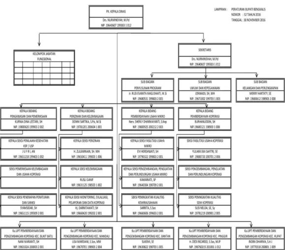 Gambar 2.1 Struktur Organisasi Dinas Koperasi, UKM  Sumber : Dinas Koperasi, UKM Kab. Bengkalis 