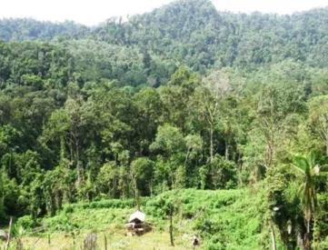 Figure 2. Bukit Puar consists of hilly secondary dipterocarp  forest with little encroachment ©Muhammad Iqbal.