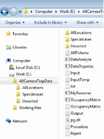 Figure 1. The folder here called AllCameraTrapData  contains three folders: AllLocations, SpecialCases, and  Unsorted