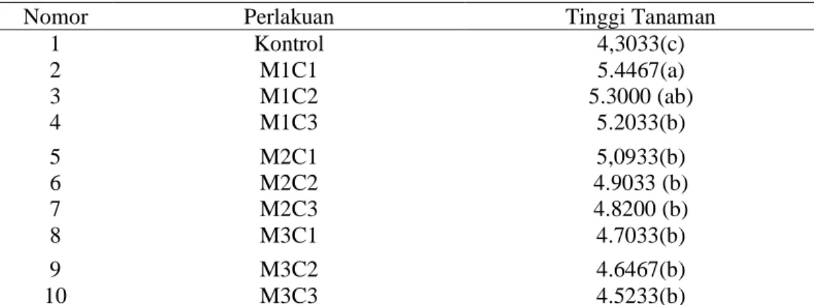 Gambar 1. Microgreen 9 HST  Pembahasan 