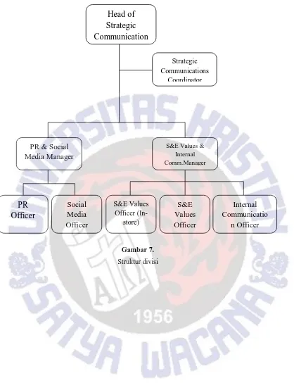 Gambar 7.  Struktur divisi 