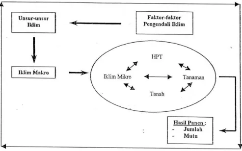 Gambar 2.1. Mekanisme pengaruh iklim terhadap tanaman 