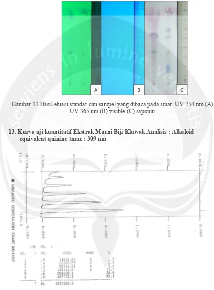 Gambar 12.Hasil eluasi standar dan sampel yang dibaca pada sinar. UV 254 nm (A) 