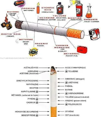 Gambar 1. Rokok dan Kandungan Senyawa Kimianya Sumber: http://tito1t2gesper.wordpress.com 