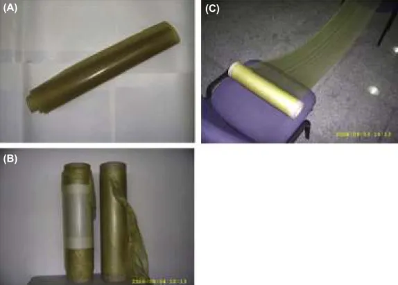 FIG. 8.5 Photographs of CMC/SPI ﬁ lm in expanded and rolled states fabricated by a continuous casting method (Su et al., 2010).