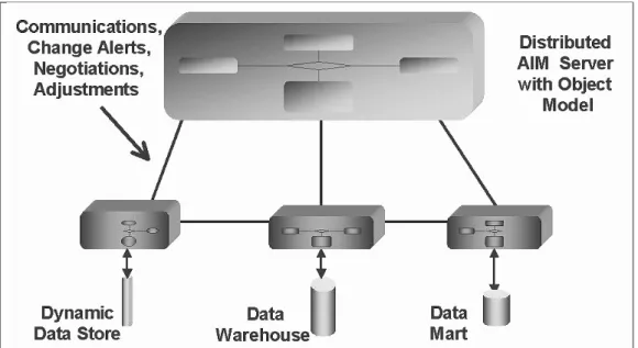 Figure 5.2. A distributed AIM server, shared objects, and dynamic integration