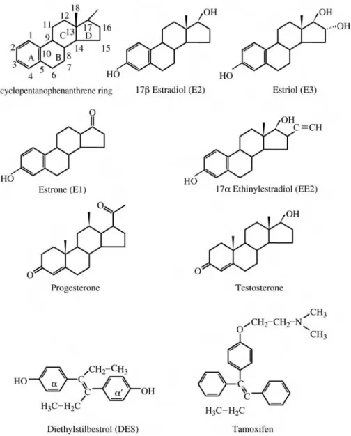 FIGURE 1.2 Structures of the steroid compounds.