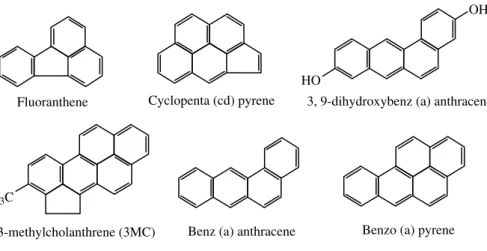 FIGURE 1.8  Structures of polyaromatic hydrocarbons (PAHs).