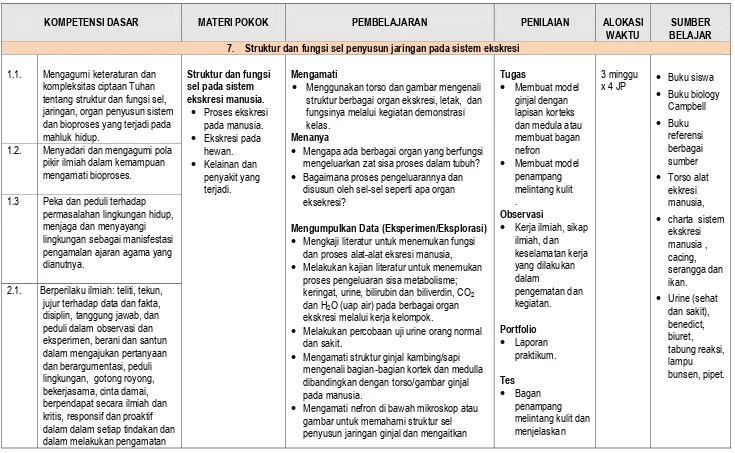 gambar untuk memahami struktur sel penyusun jaringan ginjal dan mengaitkan 