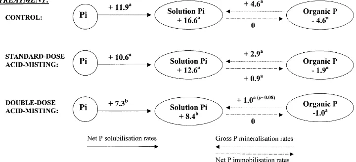 Fig. 3. Pool sizes of soil labile P fractions as a function of tree-height class (a) and acid-mist dose level (b)