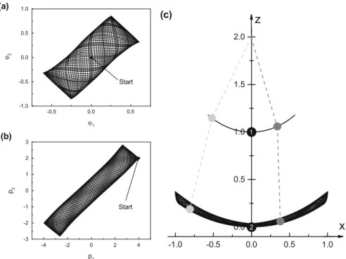 Fig. 6.2 Numerical solution of the double pendulum with initial conditions 