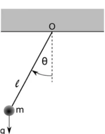 Fig. 1.1 Schematic illustration of the pendulum