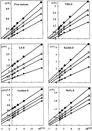 Table 3The kinetic parameters (determined by the Lineweaver–Burk equation; correlations are signiﬁcant at the 0.001 probability level.) of free and immobilized acid
