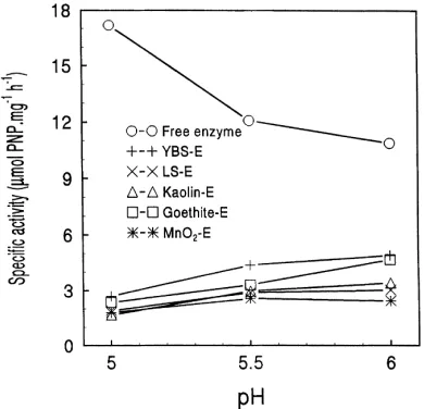 Fig. 3. Speciﬁc activity of free and immobilized acid phosphatase at differ-ent pH levels (E, enzyme; YBS, yellow brown soil; LS, latosol).