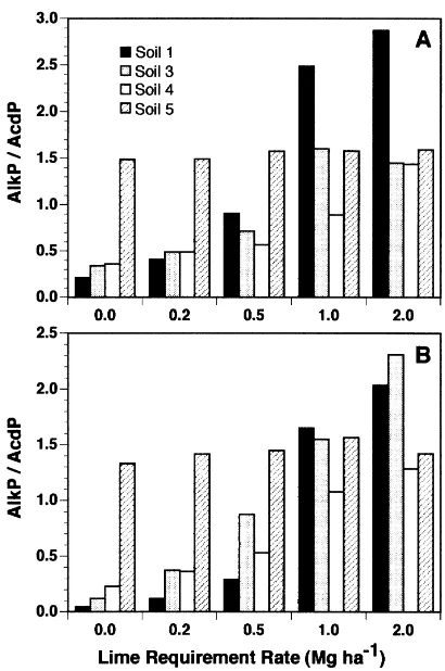 Fig. 2. Changes in alkaline phosphatase/acid phosphatase (AlkP/AcdP)activity ratios in soils amended with (A) chicken manure and (B) alfalfaresidue after adjusting pH with CaCO3 according to the lime requirement ofeach soil