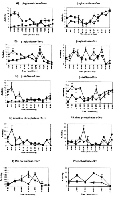 Fig. 4. Microbial extracellular activities over time associated with conﬁned CPOM (X) and FPOM (B) at each site