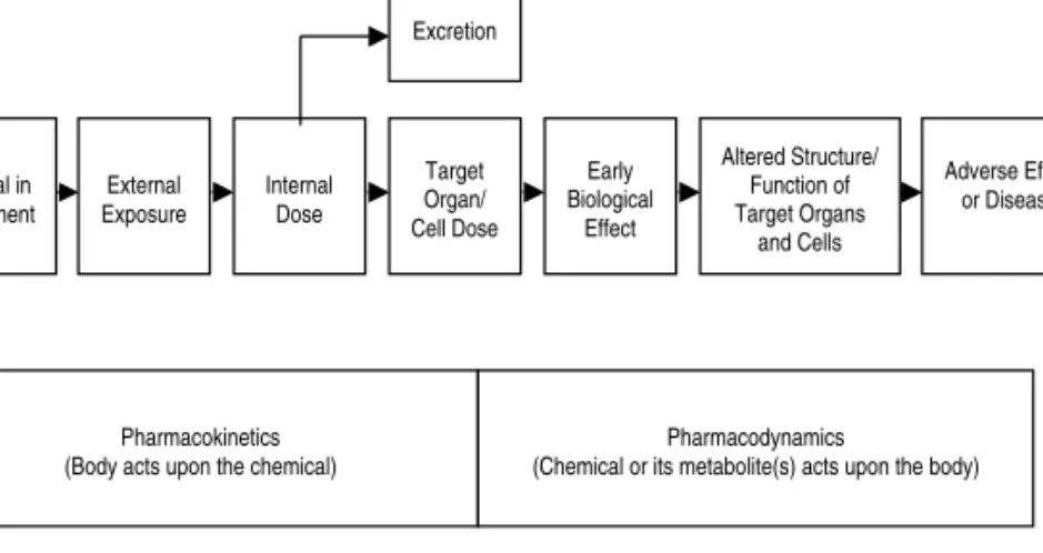 Figure 3.4 From exposure to adverse effect or disease, advances in epi- epi-demiology and toxicology are bringing greater knowledge about each event in the process and about the fine molecular details of each.