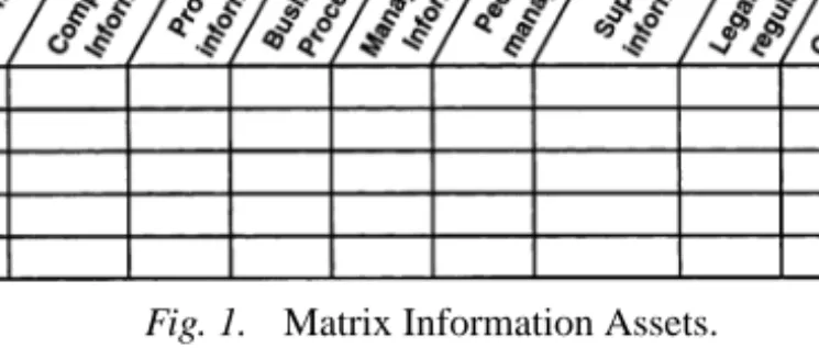 Fig. 1. Matrix Information Assets.