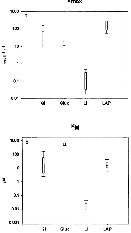 Fig. 2. Extracellular hydrolysis and uptake kinetic parameters. Points arethe mean of ﬁve measurements: GI/�-Gluc — glucose and �-glucosidaseuptake; LI/LAP — leucine uptake and aminopeptidase.