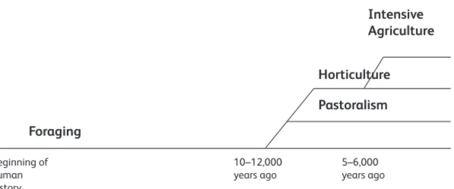 FIGURE 7.1 A timeline of production systems Intensive agriculture The production of food by use of complex and high-yield methods like irrigation, fertilizer, draftanimals, and permanentfields.