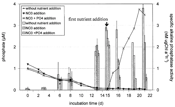 Fig. 4. Phosphate concentrations (lines) and speciﬁc alkaline phosphatase activity (bars) in mesocosm experiments.