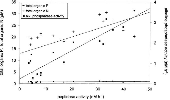 Table 3Development of alkaline phosphatase activity (APA) and peptidase activity and different biomass parameters in mesocosm experiments after phosphate plus