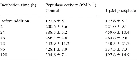 Fig. 8. Development of the peptidase activity (lines) and the speciﬁc peptidase activity (bars) at three different concentrations of added alkaline phosphatase.Standard deviations of all values did not exceed 5.3%.