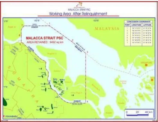 Gambar 1.3  Peta PT IMBANG TATA ALAM PSC  (Sumber : PT. EMP Malacca Strait) 