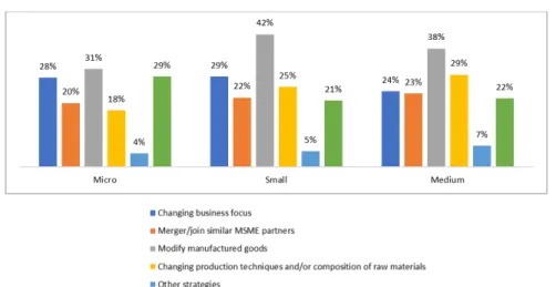 Figure 3a: Internal Initiatives Related to Production – By firm size Source: Survey data