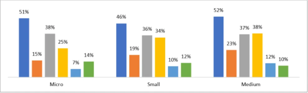 Figure 4a: Internal Initiatives Related to Finance – By firm size Source: Survey data