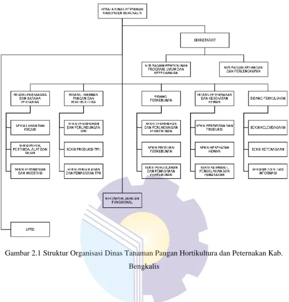 Gambar 2.1 Struktur Organisasi Dinas Tanaman Pangan Hortikultura dan Peternakan Kab. 