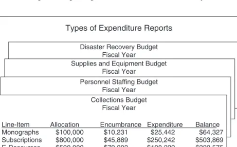 FIGURE 1.2. Examples of Expenditure Budgets