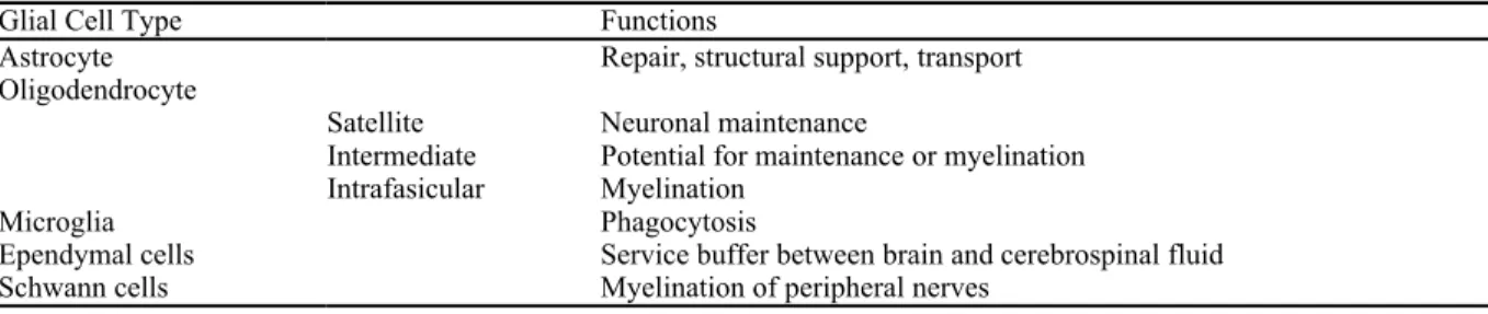 TABLE 2-1 Nonneuronal (Glial) Cells of the Nervous System and their Function