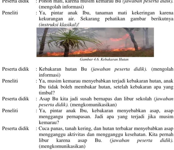 Gambar 4.6. Kebakaran Hutan 