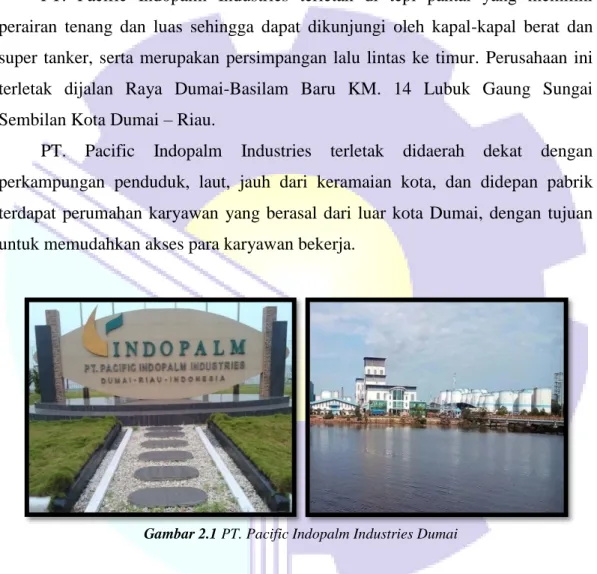 Gambar 2.1 PT. Pacific Indopalm Industries Dumai