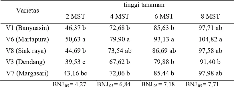 Tabel 2. Rataan Tinggi Tanaman (cm) 2, 4, 6 dan 8 MST 