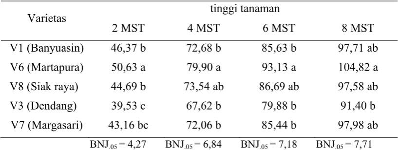 Tabel 2. Rataan Tinggi Tanaman (cm) 2, 4, 6 dan 8 MST 