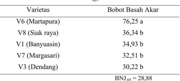 Tabel 7. Rataan Bobot Basah Akar (g) 
